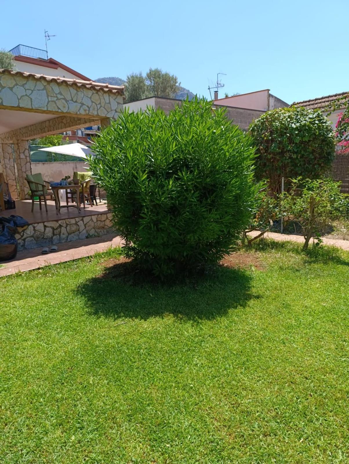Casa In Giardino A Pochi Passi Dal Mare Villa Palermo Eksteriør billede